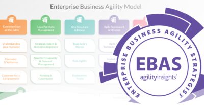 Enterprise Business Agility Strategist