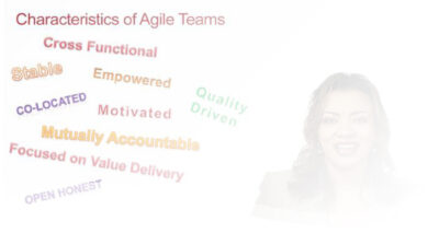 Agile Roles